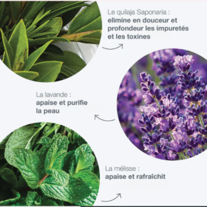 Special Cleansing Gel Dermalogica – Nettoyant moussant doux pour peau normale à grasse