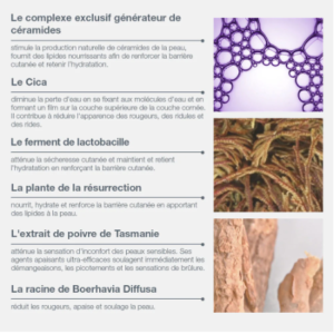 Dermalogica Stabilizing Repair Cream 50ml – Crème réparatrice apaisante pour peau sensible